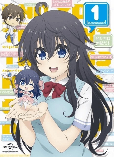Anime Netoge no Yome wa Onnanoko ja Nai to Omotta